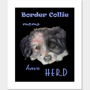 border collie moms have herd Posters and Art